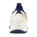 Mizuno Wave Momentum 3